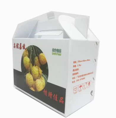 পিপি ঢেউতোলা প্লাস্টিক ফল এবং সবজি বক্স কাস্টম পুনর্ব্যবহারযোগ্য